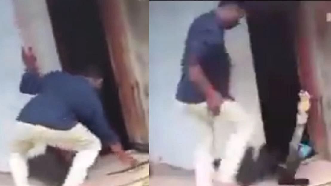 பாம்பு பிடி வீரரை உறைய வைத்த ராஜ நாகம் : இணையத்தை அலற விட்ட வைரல் வீடியோ!