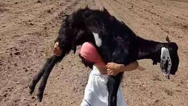 ஆடு திருட கூகுள் மேப் பயன்படுத்தும் நவீன கொள்ளை கும்பல்... தர்ம அடிகொடுத்த பொதுமக்கள்: நடந்தது என்ன?