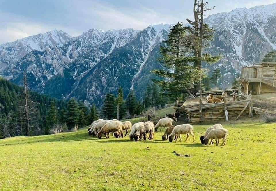 இப்படியும் ஒரு அழகு : ஊடகங்கள் காண்பிக்க மறுக்கும் ஆப்கானிஸ்தான் நாட்டின் மறுபக்கம்!