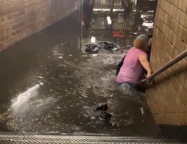 மாகாணங்களை சூழ்ந்த வெள்ளம்.. இந்தியர்கள் உட்பட 40 பேர் பலி: அமெரிக்காவை புரட்டி போட்ட ஜடா புயல்! #Photos