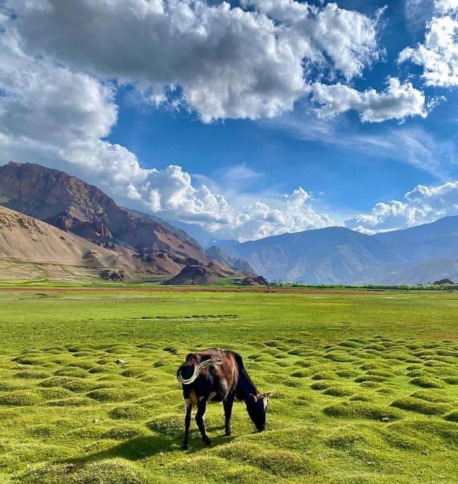 இப்படியும் ஒரு அழகு : ஊடகங்கள் காண்பிக்க மறுக்கும் ஆப்கானிஸ்தான் நாட்டின் மறுபக்கம்!