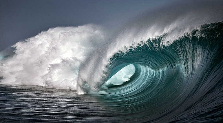 “மத்தி மீன்கள் அழிவதால் பேராபத்தை எதிர்கொள்ளும் மனித குலம்” : காலநிலை மாற்றம் நமக்கு சொல்லும் பாடம் என்ன?