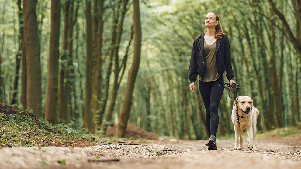 வளர்ப்பு நாயால் இளம்பெண்ணுக்கு நேர்ந்த விபரீதம் : கர்நாடகாவில் சோகம்!