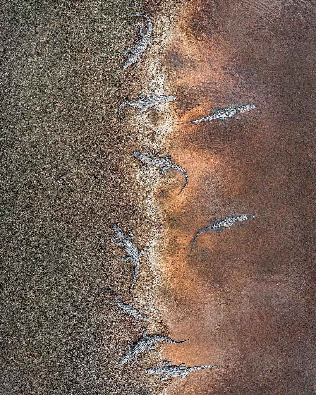 இப்படியும் ஒரு ‘பார்வை’ :  கிறுகிறுக்க வைக்கும் Drone புகைப்படங்கள்!