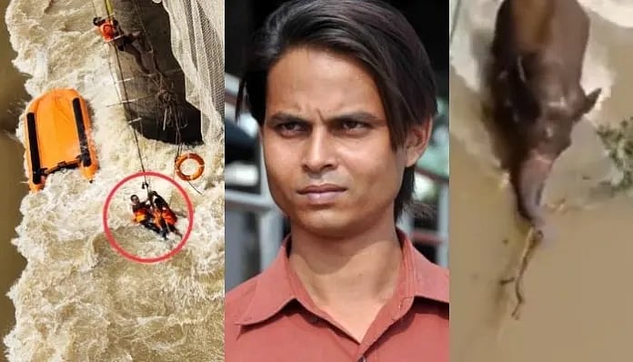 “யானையை காப்பாற்றச் சென்ற புகைப்படக்காரர் நீரில் மூழ்கி பலி”: ஒடிசாவில் மீட்பு பணியின் போது நடந்த சோகம்!