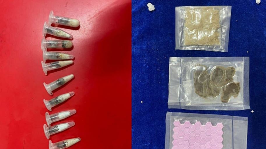 ‘பரிசுப் பொருள்' என்ற பெயரில் விஷ சிலந்திகள், போதைப் பொருட்கள், கஞ்சா கடத்தல்.. அதிகாரிகள் அதிர்ச்சி!