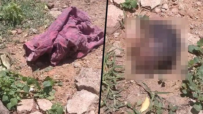 குழந்தையின் தலையைக் கவ்விக்கொண்டு சுற்றிய நாய்.. நரபலி கொடுத்து கொலையா? : மதுரை போலிஸ் தீவிர விசாரணை!