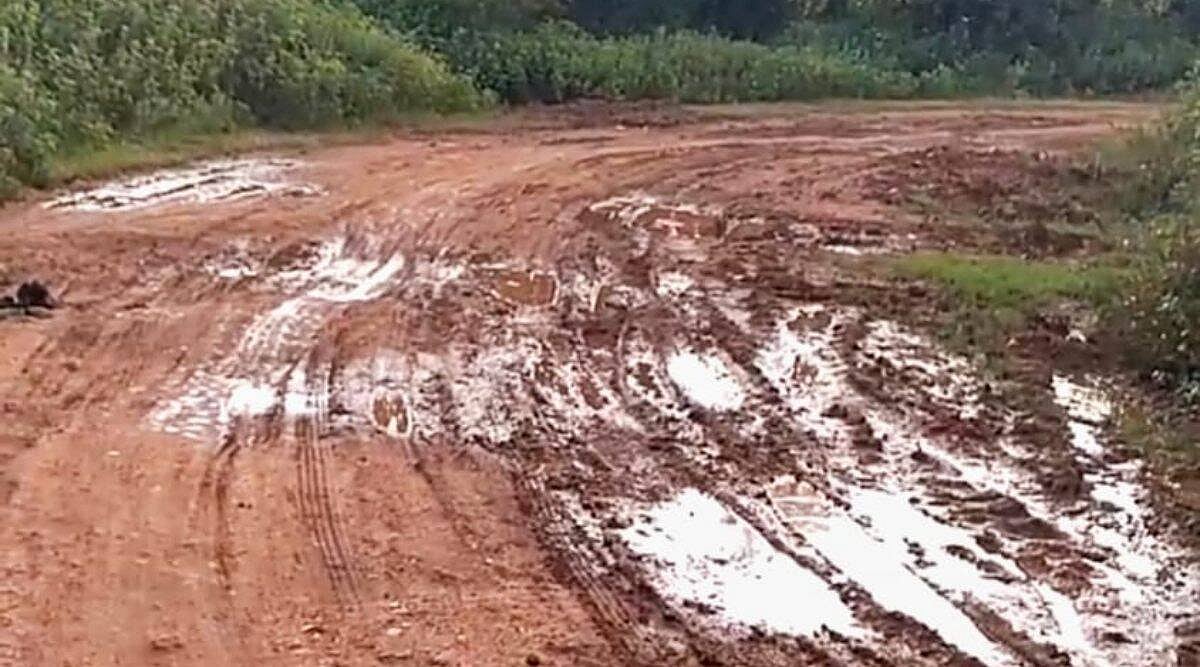“இது கிடைக்கும் வரை கல்யாணம் பண்ண மாட்டேன்”.. முதல்வருக்குக் பகிரங்க கடிதம் எழுதிய இளம்பெண்: காரணம் என்ன?