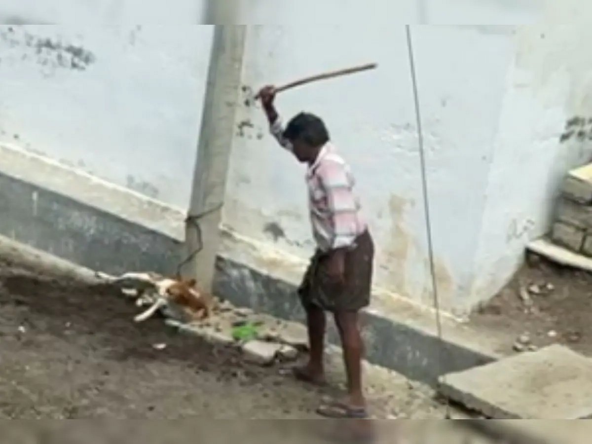 கம்பத்தில் கட்டி வைத்து நாயை அடித்து துன்புறுத்திய நபர்...  சிறையில் அடைத்த போலிஸ் : நடந்தது என்ன?