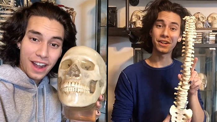 TikTokக்கில் மனித எலும்புகள், மண்டை ஓடுகளை கூவிக் கூவி விற்கும் இளைஞர்!