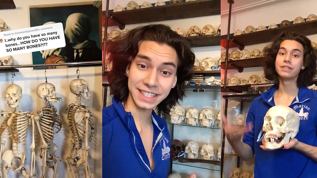 TikTokக்கில் மனித எலும்புகள், மண்டை ஓடுகளை கூவிக் கூவி விற்கும் இளைஞர்!