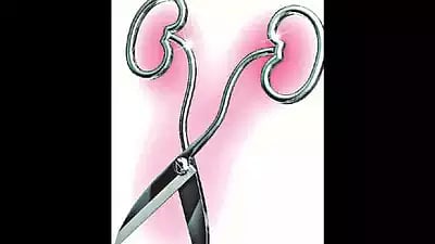 சிறுநீரக கல்லுக்கு பதிலாக சிறுநீரகத்தையே அகற்றிய மருத்துவர்... நுகர்வோர் ஆணையத்தின் அதிரடி உத்தரவு!