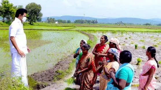 “நெல்லுக்குரிய பணப்பட்டுவாடாவை, விவசாயிகளுக்கு காலதாமதமின்றி வழங்கிடுக”: அதிகாரிகளுக்கு முதல்வர் உத்தரவு!