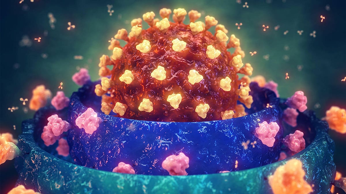 இந்தியாவுக்குள் நுழைந்த AY.4.2 கொரோனா வைரஸ்... 6 மடங்கு வேகமாகப் பரவுமா?