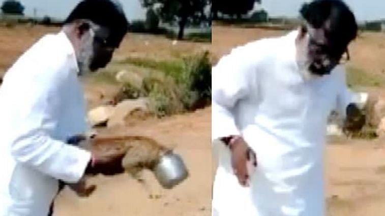 "பூனைக்குட்டி என நினைத்து புலிக்குட்டியை தூக்கியவர் பதறியடித்து ஓட்டம்” - சாலையில் நடந்தது என்ன?