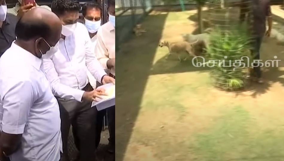 சென்னை IITல் 45 நாய்கள் மர்ம மரணம்; மான்கள் காரணமா? அமைச்சர் மா.சுப்பிரமணியன் நேரடி விசிட்!
