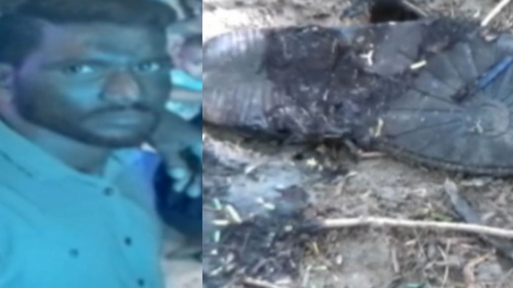 திருமணமான பெண்ணுக்கு தொடர் தொந்தரவு; பெட்ரோல் ஊற்றி எரிந்தபடி வந்த வாலிபர் பலி - திருவள்ளூரில் பயங்கரம்!