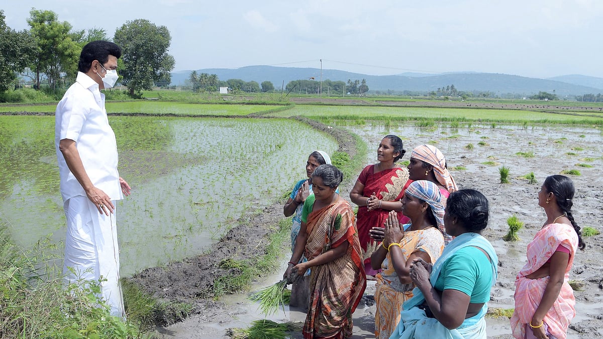 முதலமைச்சருக்கும் பாப்பாபட்டி கிராம சபைக்கும் என்ன பந்தம்?: திமுக ஆட்சி குறித்து நெகிழ்ச்சி பதிவு!