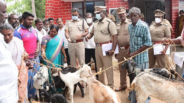 வாயில் டேப் ஒட்டி ஆடுகளை இன்னோவா கார்களில் கடத்திய கும்பல்... சிக்கியது எப்படி?