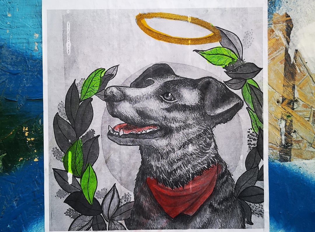 “போராட்டத்தின் குறியீடாகப் பார்க்கப்பட்ட கறுப்பு நாய்” - உங்களுக்கு ‘மடபகோஸ்’ பற்றி தெரியுமா?