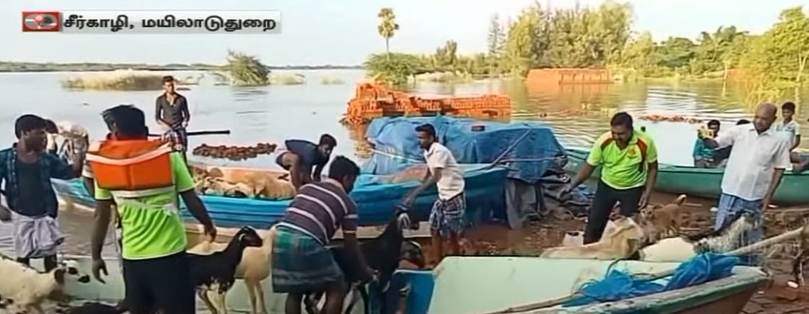 ஆற்றின் நடுவே 150 ஆடுகளுடன் வெள்ளத்தில் சிக்கிய தம்பதி : 4 மணி நேரம் போராடி மீட்ட மீட்பு படையினர்!