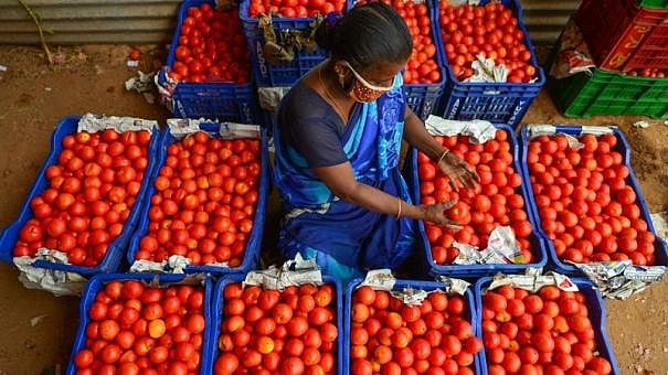 அதிகரித்த தக்காளி விலை; மக்களின் வேதனையை போக்க தமிழ்நாடு அரசு எடுத்த அசத்தல் நடவடிக்கை!