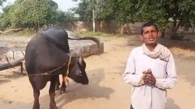 “எருமை மாடு பால் கறக்க விடமாட்டேங்குது...” : காவல் நிலையத்தில் புகார் அளித்த விவசாயி - ம.பியில் வினோதம்!