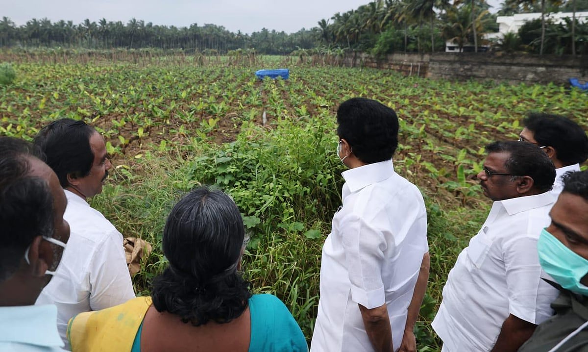 கனமழையால் பாதிக்கப்பட்ட கன்னியாகுமரி... சேதமான பகுதிகளில் ஆய்வு செய்த முதலமைச்சர் மு.க.ஸ்டாலின்! #Album
