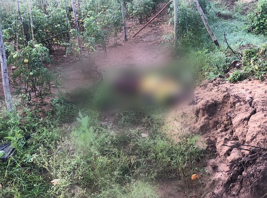 கர்நாடகாவில் தக்காளி விலையால் நடந்த விபரீதம்; மின்வேலியை போட்டவரும், அதனை தாண்டியவருக்கும் நேர்ந்த சோகம்!