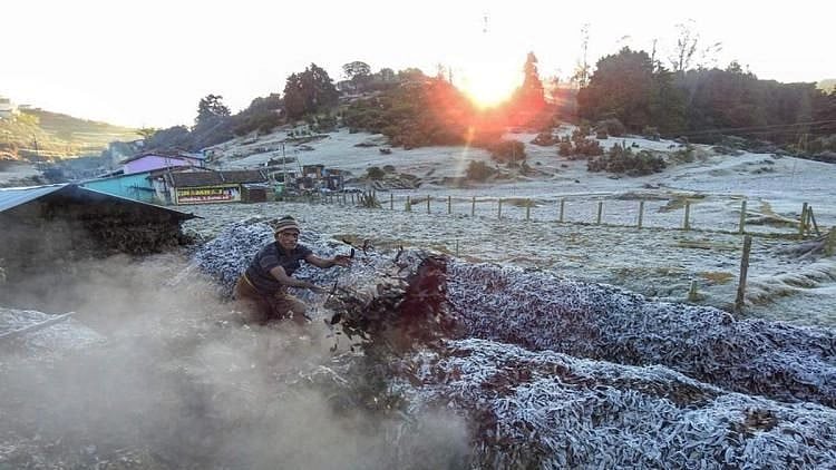 “செம குளிர்.. மினி காஷ்மீர் போல் மாறிய நீலகிரி” : உறைபனி சீசன் தொடங்கியதால் சுற்றுலா பயணிகள் குதூகலம்!