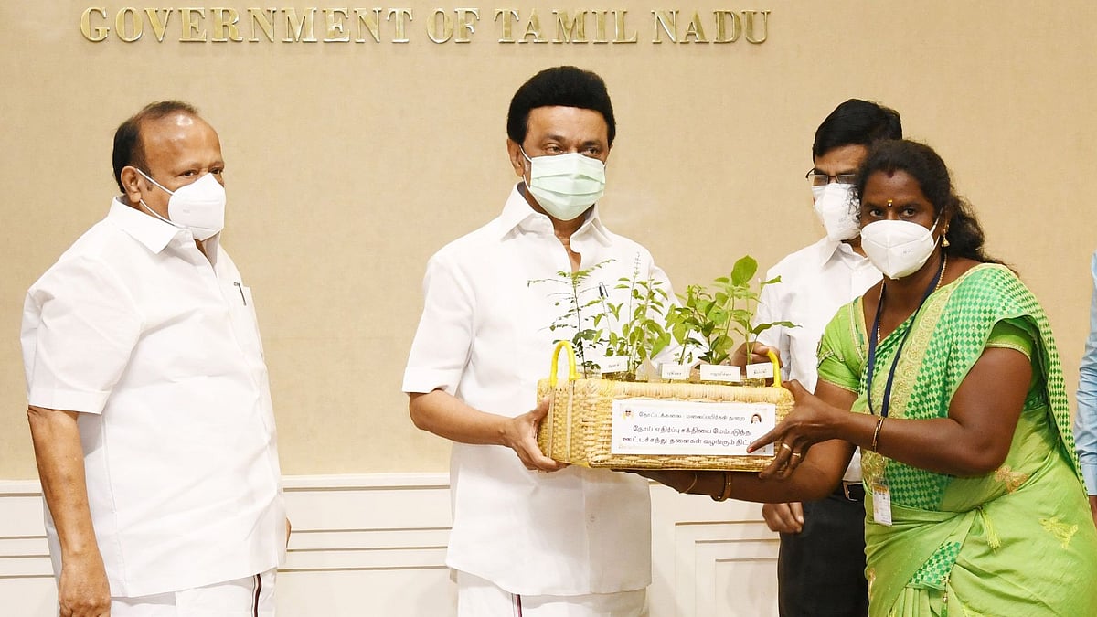 வேளாண்மை நிதிநிலையில் அறிவித்தபடி"ஊட்டம் தரும் காய்கறித் தோட்டம்" திட்டத்தைத் தொடங்கி வைத்தார் முதல்வர்!
