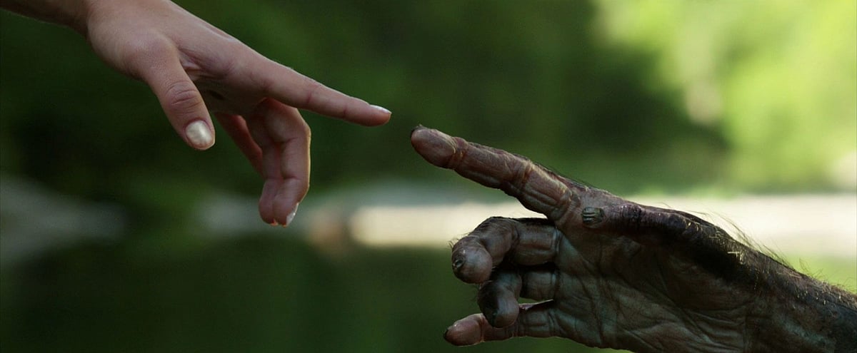 ‘லூசி’ - பரிணாமவியல் தத்துவத்துக்கான சான்றாக அறிவுலகம் திமிரோடு தூக்கிச் சுமக்கும் புதைபடிம சாட்சி!