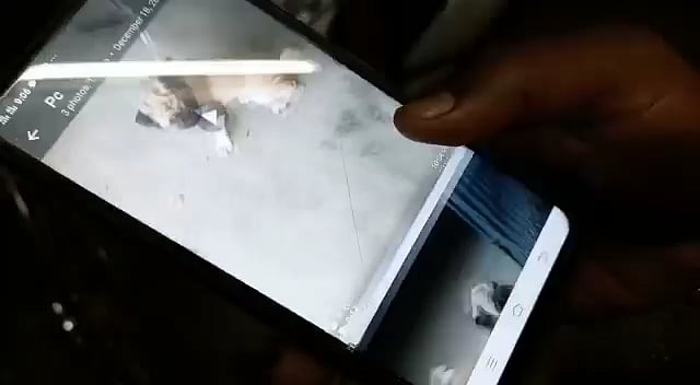 திருடு போன நாய்க்குட்டியை சமூக வலைதளங்களின் உதவியுடன் மீட்ட உரிமையாளர்.. கரூரில் நெகிழ்ச்சி சம்பவம் !