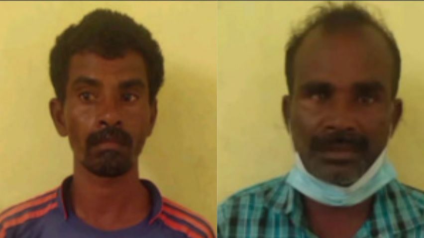 ஆட்டை கடித்ததால் நாய் அடித்துக் கொலை.. 2 பேர் கைது : நடந்தது என்ன?