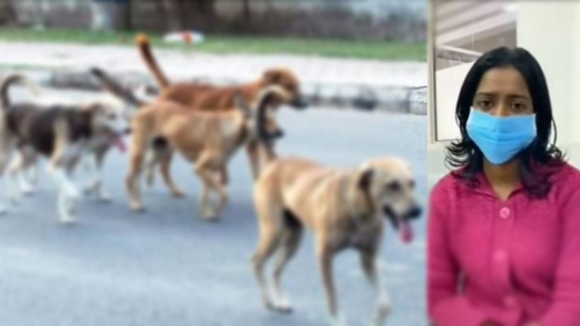 குழந்தையை கடித்துக் குதறிய நாய்கள்..60 தையலுடன் மருத்துவமனையில் சிகிச்சை: தாய் வெளியிட்ட உருக்கமான வீடியோ