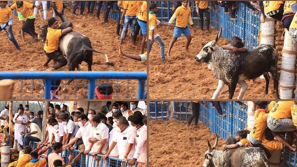 கோவை ஜல்லிக்கட்டு நிறைவு - அசத்திய காளைகள்... 21 காளைகளை அடக்கிய வீரருக்கு கார் பரிசு!