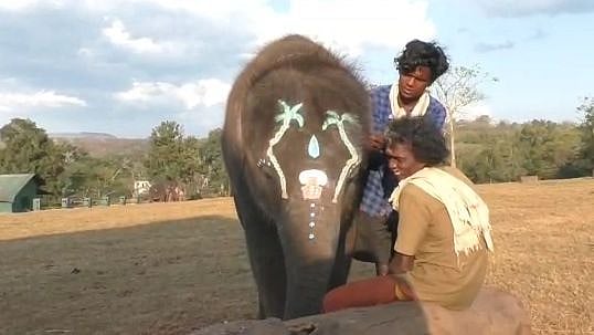 “பழங்குடி பாகனிடம் பாசப் போராட்டம் நடத்திவரும் குட்டியானை” : முதுமலை காப்பகத்தில் நெகிழ்ச்சி சம்பவம்!