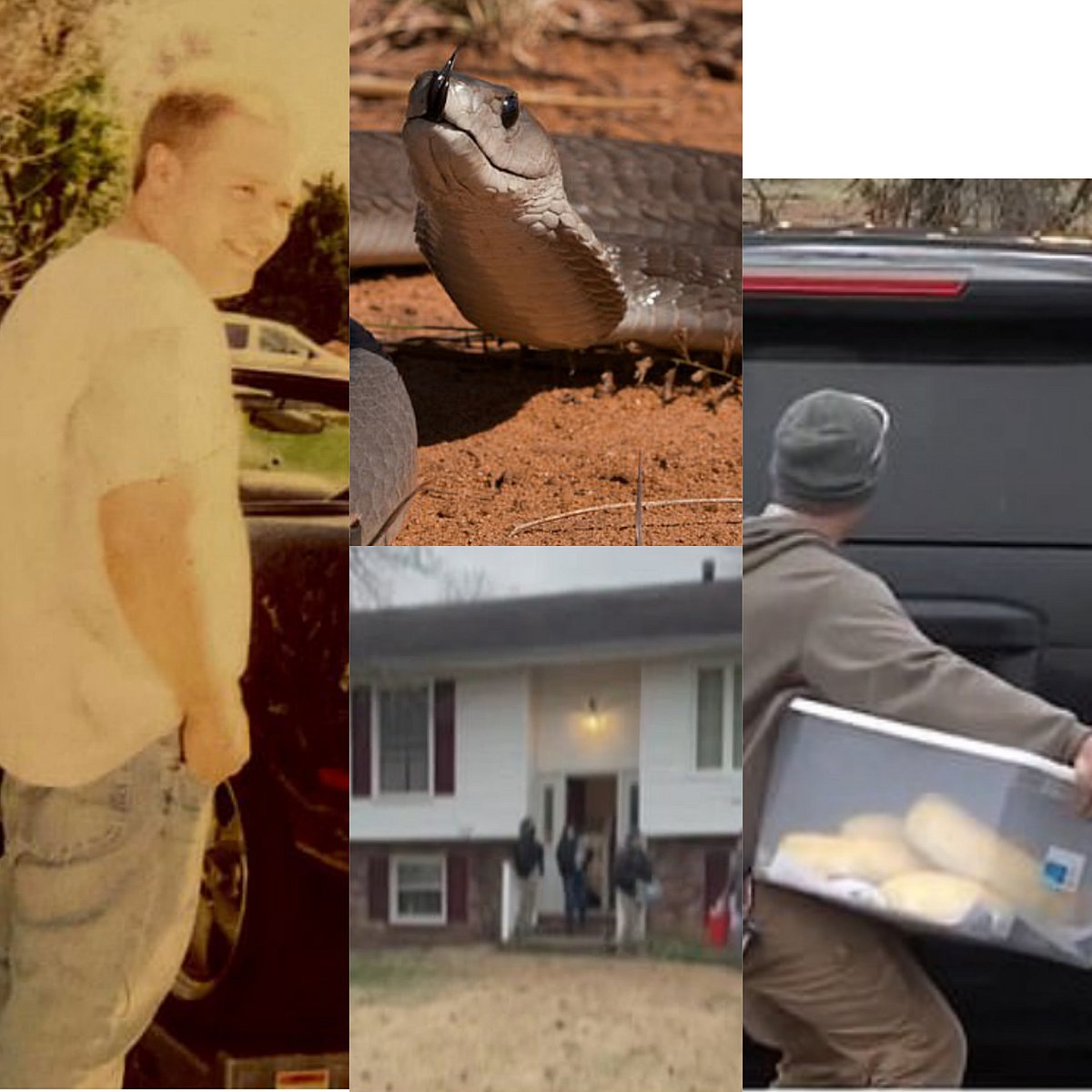 125 பாம்புகளுக்கு மத்தியில் சடலமாக கிடந்த நபர்.. அதிர்ச்சி சம்பவத்தின் பின்னணி என்ன?