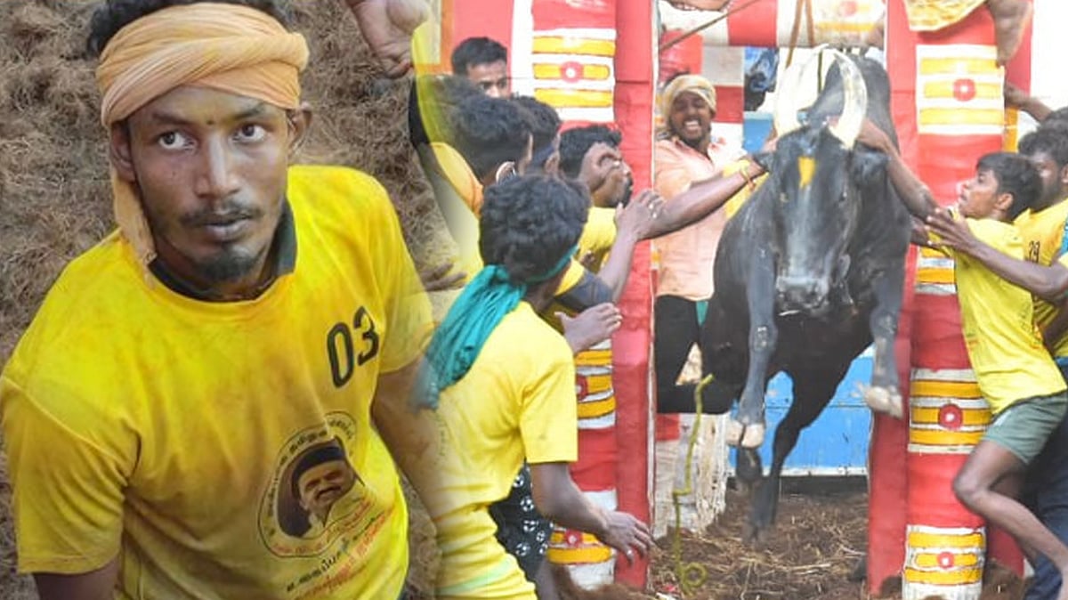 அலங்காநல்லூர் ஜல்லிக்கட்டில் சீறிப்பாயும் காளைகள்.. 3 சுற்றுகள் முடிவு- 10 காளைகளை அடக்கி அசத்திய இளைஞர்!