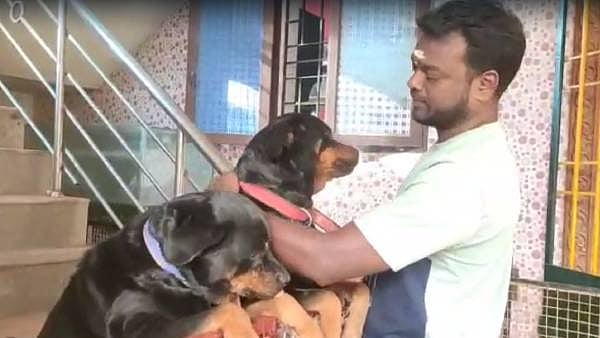 ”பாம்புடன் முட்டி மோதி தன்னை வளர்த்தவர்களை காப்பாற்றிய செல்லப்பிராணி” - புதுச்சேரியில் நடந்த நெகிழ்ச்சி!