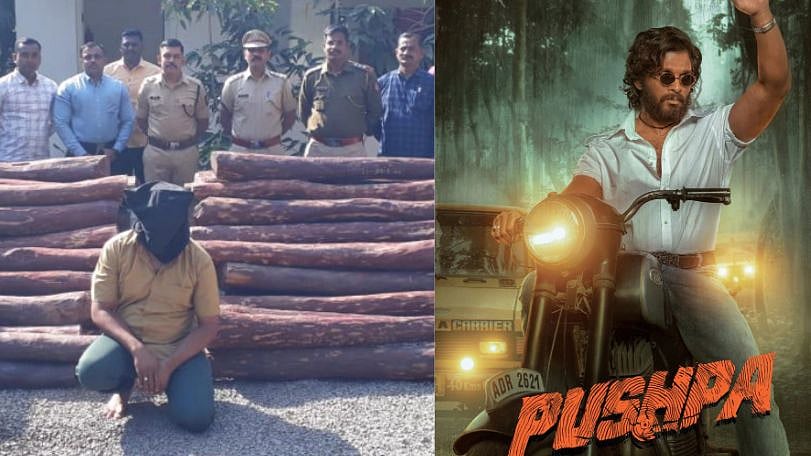 புஷ்பா படத்தால் வந்த வினை.. செம்மரக்கட்டையை கடத்திய இளைஞருக்கு நேர்ந்த கதி என்ன தெரியுமா?