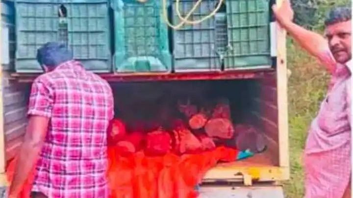 ’இதுக்கு இல்லையா சார் END’  புஷ்பா பட பாணியில் தொடரும் செம்மரக்கடத்தல்; தூக்கமின்றி அலையும் ஆந்திர போலிஸ்