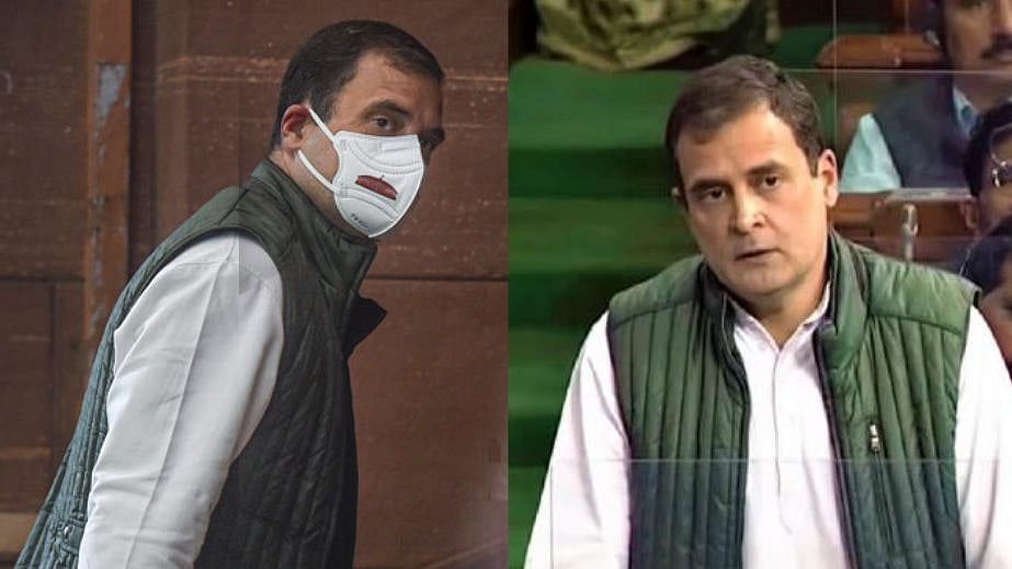 ”ராகுல் காந்தி தன்னை ’தமிழன்’ எனக் கூறிக்கொள்ள தகுதியும் உரிமையும் கொண்டவர்” - எப்படி தெரியுமா?