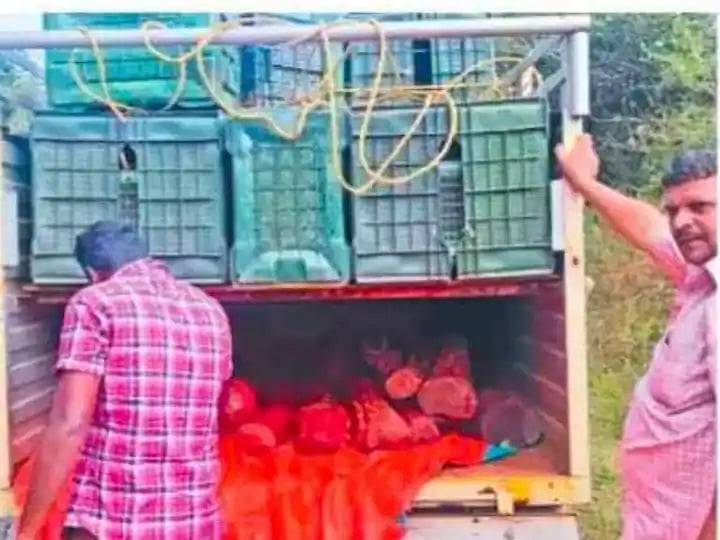 ’இதுக்கு இல்லையா சார் END’  புஷ்பா பட பாணியில் தொடரும் செம்மரக்கடத்தல்; தூக்கமின்றி அலையும் ஆந்திர போலிஸ்