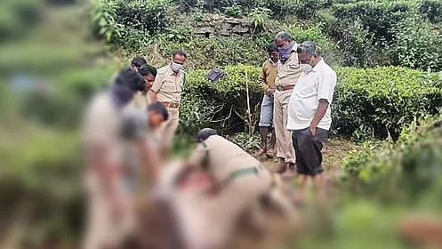 “வயிற்றில் நூடுல்ஸ் பாக்கெட்.. பிளாஸ்டிக் கழிவுகள்”: காட்டெருமை இறப்பால் அதிர்ச்சியடைந்த மருத்துவக் குழு!