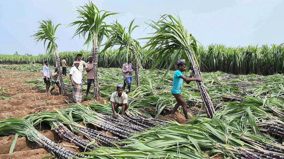 எதையும் படிக்காமல் பொத்தாம் பொதுவாக பேசுவது எதிர்க்கட்சித்தலைவருக்கு அழகல்ல: பழனிசாமியை விளாசிய அமைச்சர்!