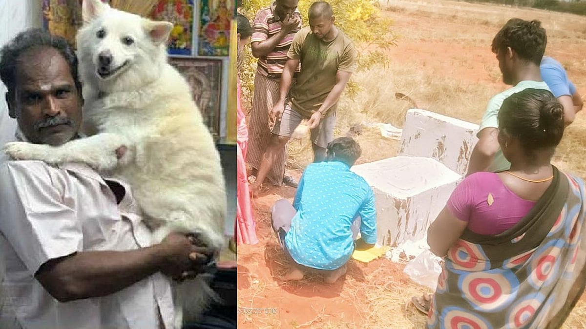 “எங்க கூட வாழ்ந்த நாலு கால் தேவதை அது” : வளர்ப்பு நாய்க்கு கல்லறை கட்டிய தம்பதியர் - நெகிழ்ச்சி சம்பவம்!