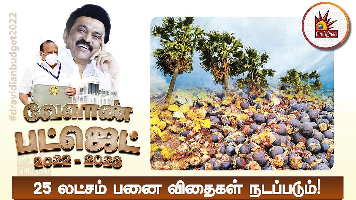 25 லட்சம் விதைகள்.. கண்டுபிடிப்பாளருக்கு விருது :  பனைத் தொழிலுக்கு முக்கியத்துவம் - சிறப்பு அம்சங்கள் ?