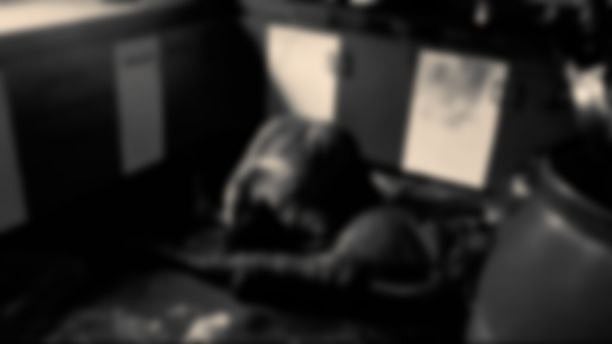 UPS-ல் தீ.. மூச்சுத்திணறி ஒரே குடும்பத்தைச் சேர்ந்த 3 பேர் பரிதாப பலி - செல்ல நாயும் பலியான சோகம்!