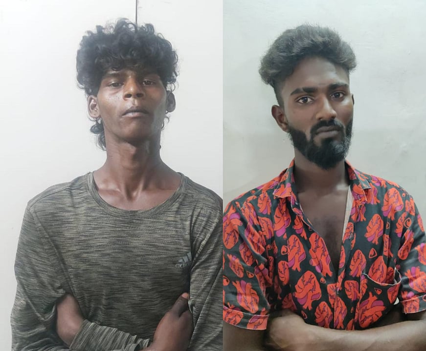 புறாவுக்கு போரா? நிஜத்தில் நடந்த சினிமா வசனம் : புறா விற்பனையில் இருவர் கைதானது ஏன்? நடந்தது என்ன?